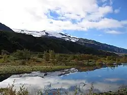 Wäldchen bei Þórsmörk