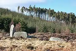 Steinkreis von Tillyfourie