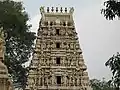 Gopuram im Sommerpalast des Sultans in Bangalore