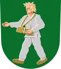 Wappen von Toivakka