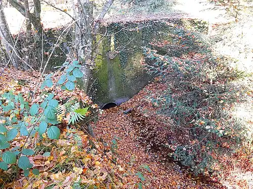 Torfmoosbach bei Mooshübel im Hürstwald