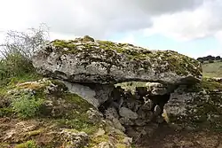 Dolmen von Prunaiola