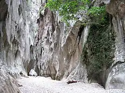 Tropfenquelle Font des Degotís