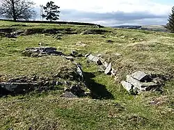 Broch von Torwoodlee