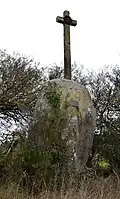 Menhir, genannt „La Grosse Pierre de la Rigaudière“