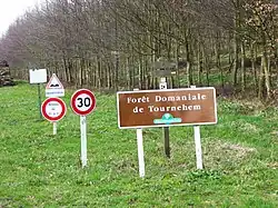 Forêt domaniale de Tournehem