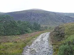 Blick von Süden aus dem Gleann nam Fiadh zum Toll Creagach, im Vordergrund der Beinn Eun