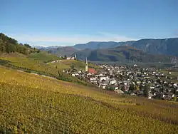 Weinberge bei Tramin
