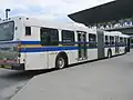 Gelenkbus in Burnaby