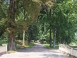 Allee im Schlosspark