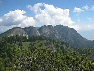 Das Tresner Horn (rechts) von der Kammhöhe von Südwesten her gesehen: die höchste in der umliegenden Reihe wenig markanter Erhebungen im südlichen Mendelkamm