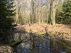 Quelle bei Frohnsdorf