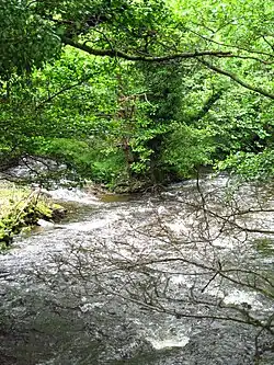 Mündung des Nant y Felin in den Sirhowy River in Argoed