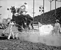 Rodeo in Calgary, Kanade, 1948