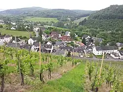 Blick auf Eitelsbach