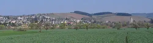 Ruwer von Pfalzel aus gesehen