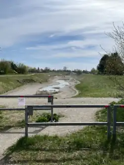 Trockenbiotop Kies-Trasse