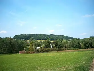 Tröbigauer Berg aus Richtung Süden