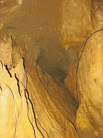 Blick in die Niedaltdorfer Tropfsteinhöhle