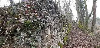 Mittelalterliche Ringmauer der Vorburg im Osten