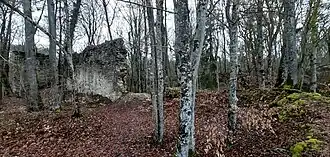 Blick über die Kernburg nach Norden