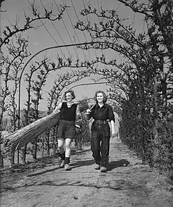 Schülerinnen, April 1946