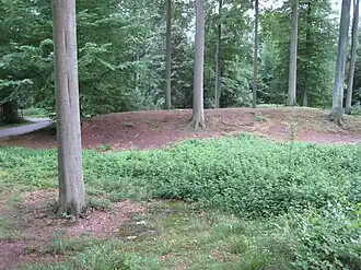 Tumuli de la Forêt de Soignes