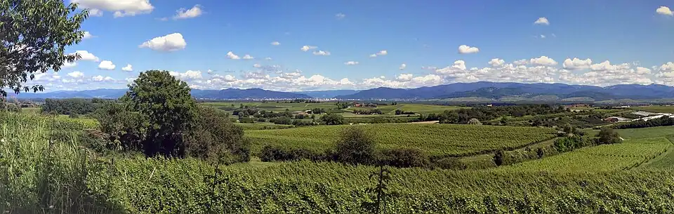 Blick Richtung Freiburg