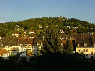 Blick auf den Turmberg von Westen