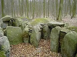 Tvedeskov – Kammern und eine Gangmündung