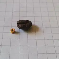 Paukenröhrchen aus Metall, daneben als Größenmaßstab eine Kaffeebohne. Fotografiert auf einem karierten Blatt Papier, ebenfalls als Größenmaßstab (Kantenlänge der Karos 5&nbsp;mm).