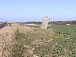 Bautastein von Tadebæk oder Tynebjergsten