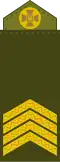 Старший сержант (Senior Sergeant)