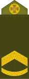 Штаб-сержант (Staff Sergeant)