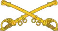 Branch of service insignia