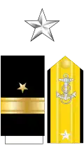 USN Rear Admiral (lh)