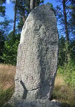 Runenstein von Västra Ledinge