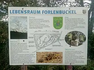 Infotafel Forlenbuckel