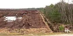 Randbereich des Moores an der Grenze zwischen Torfabbau und Baumbestand, im Vordergrund Gleise der Moorbahn