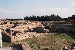 Ugarit (Tell Shamra)