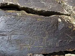 Ziegen mit übertrieben großen Hörnern