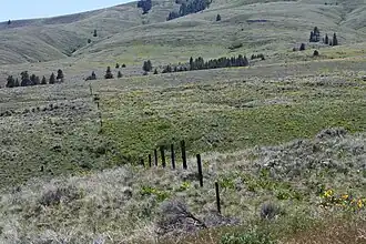 Blick vom Nordhang der Umtanum Ridge nach Süden