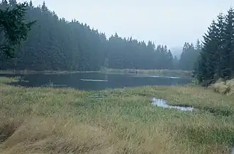 Unterer Hahnebalzer Teich