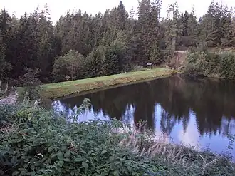 Unterer Spiegeltaler Teich, Blick von Südosten über die Wasserfläche auf den Damm