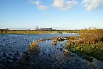 Rönnehochwasser (2010)