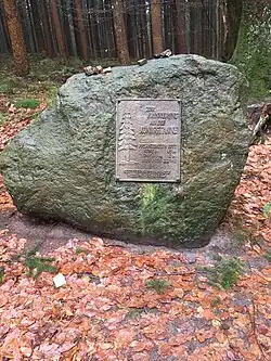 Gedenkstein für die ursprüngliche Königstanne in der Wingst