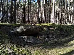 Ein Dolmen in einem Wald, bestehend aus einem großen grauen Stein, der auf 2 mittelgroßen grauen Steinen sitzt