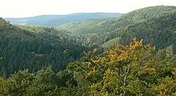 Blick von der Burgruine Löwenstein auf das Tal der Urff im Kellerwald