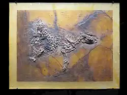 Urpferd mit Fötus aus der Grube Messel