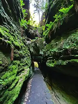 Uttewalder Felsentor im Schleifgrund